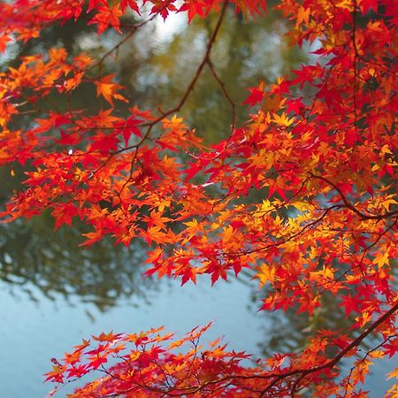 Stay Sakura Kyoto Nijo Castle West I Exterior photo
